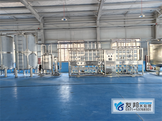 20T/H雙級(jí)純凈水設(shè)備